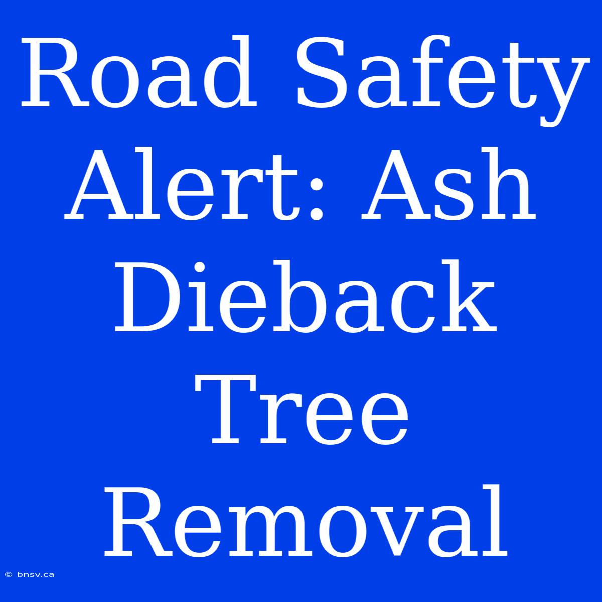 Road Safety Alert: Ash Dieback Tree Removal