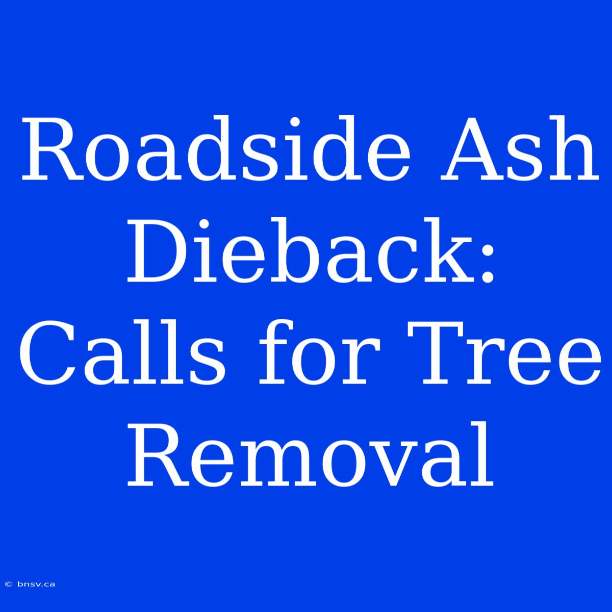 Roadside Ash Dieback: Calls For Tree Removal