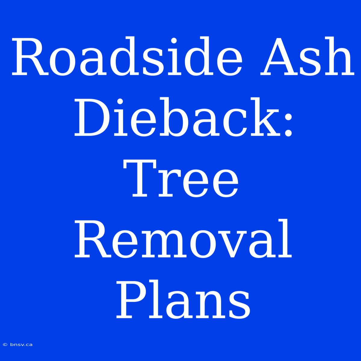 Roadside Ash Dieback: Tree Removal Plans