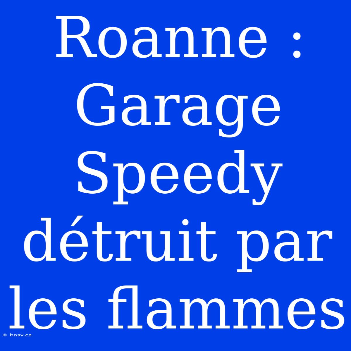 Roanne : Garage Speedy Détruit Par Les Flammes