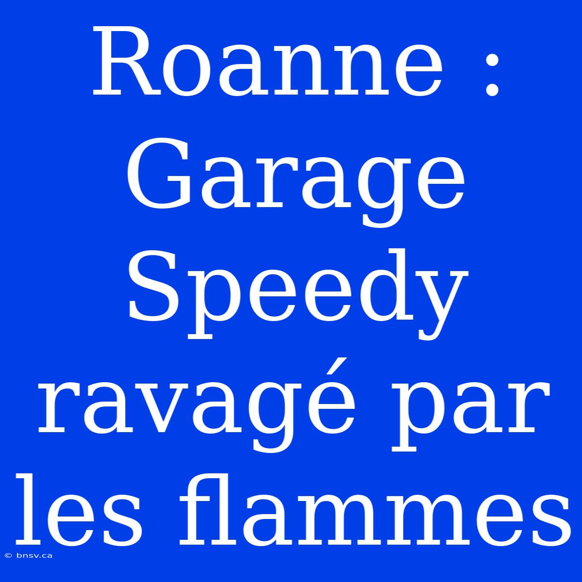 Roanne : Garage Speedy Ravagé Par Les Flammes