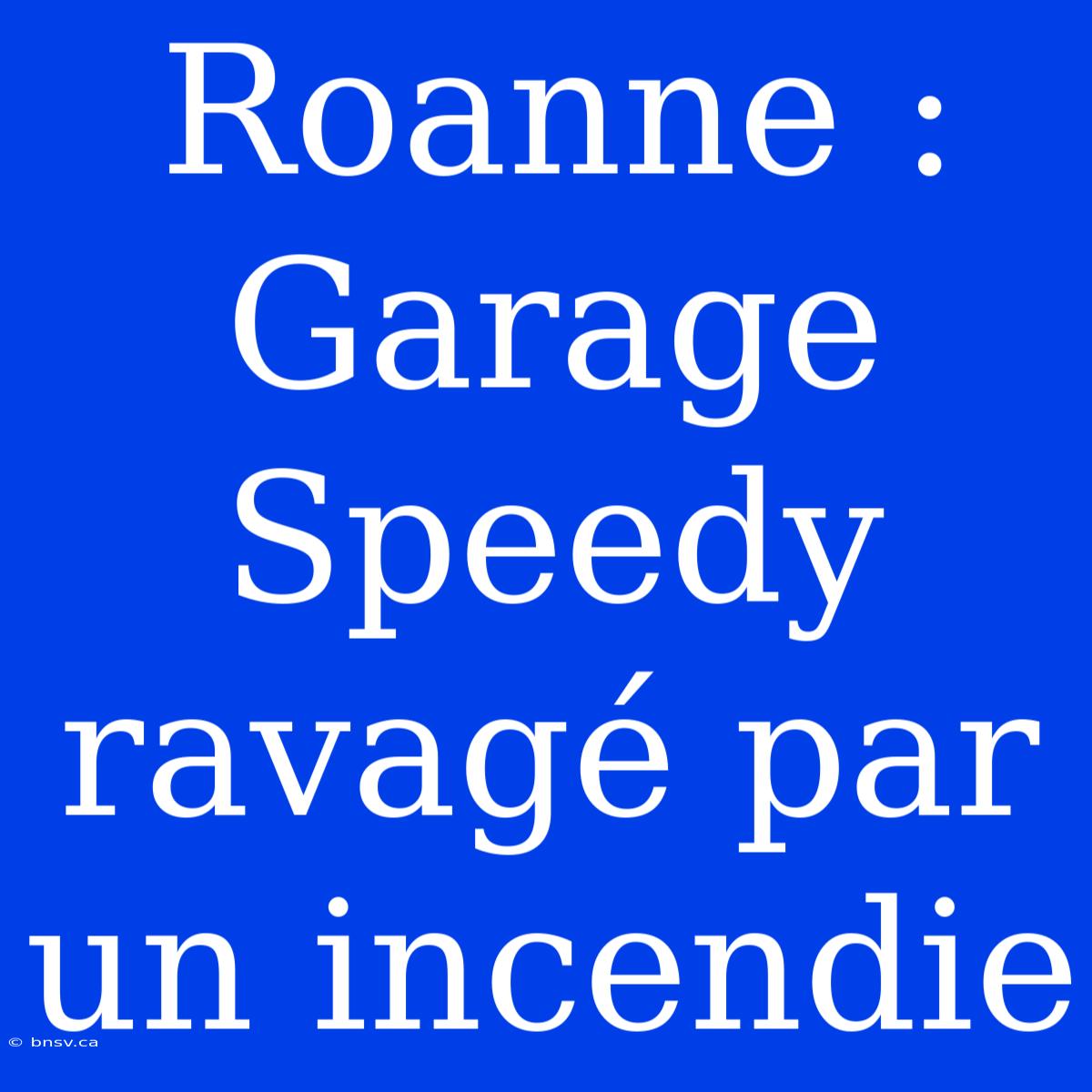 Roanne : Garage Speedy Ravagé Par Un Incendie