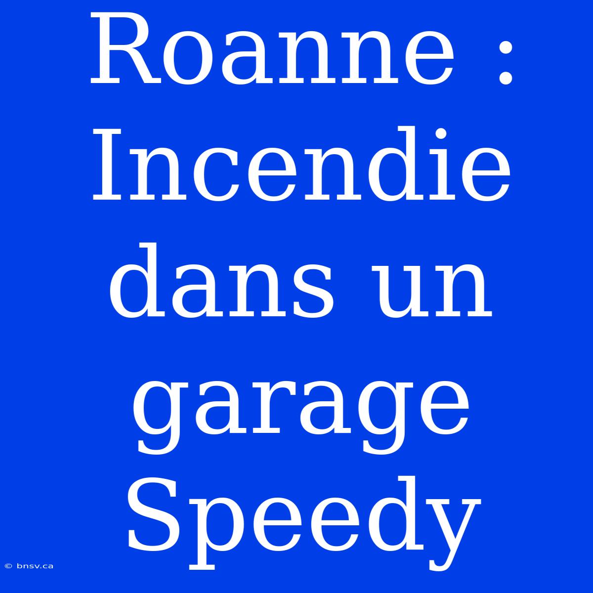 Roanne : Incendie Dans Un Garage Speedy