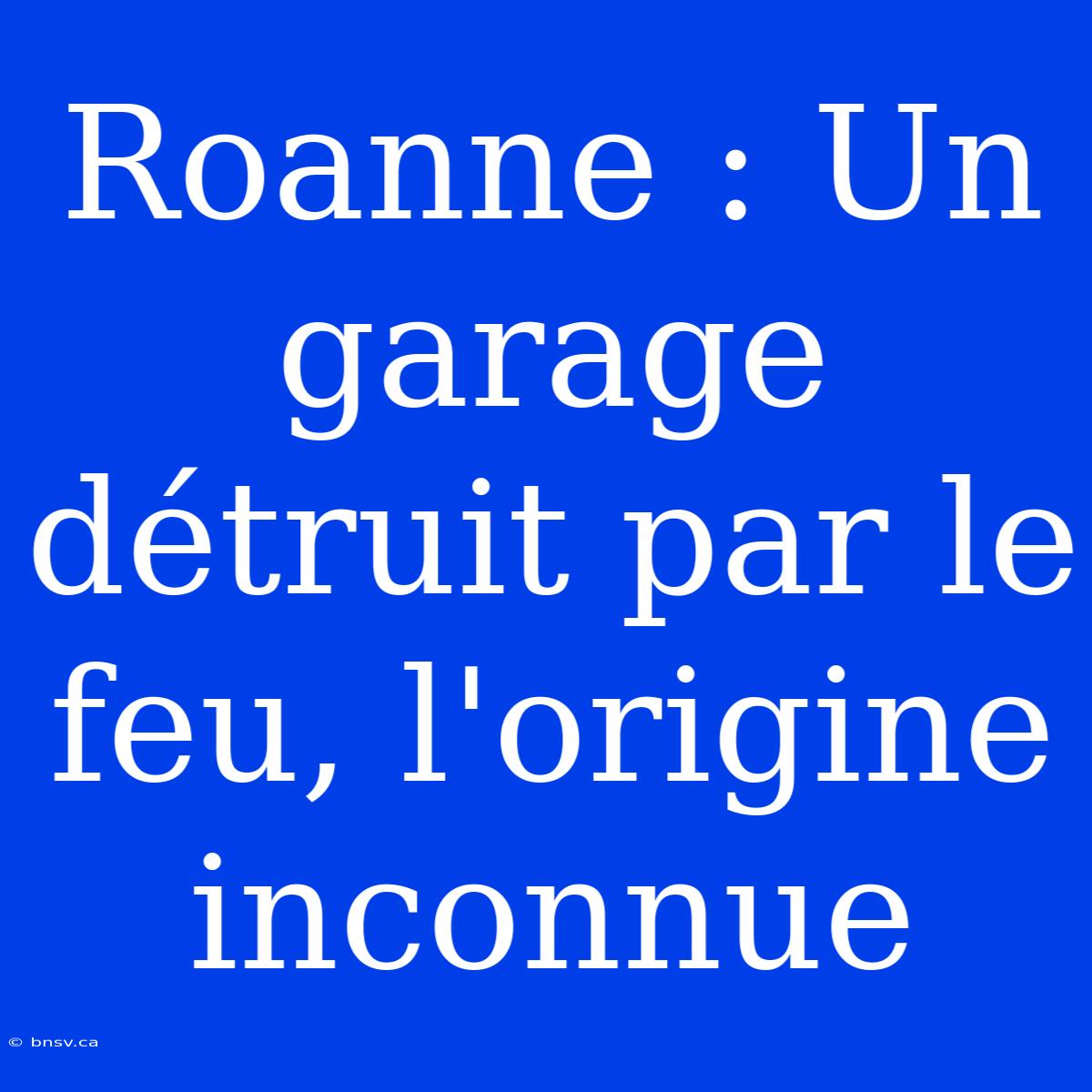 Roanne : Un Garage Détruit Par Le Feu, L'origine Inconnue