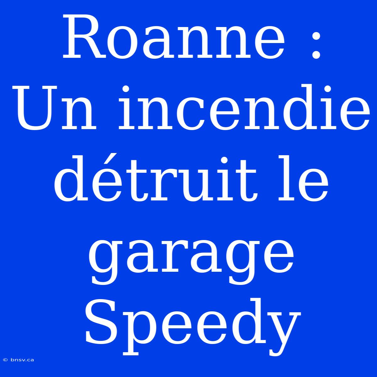 Roanne : Un Incendie Détruit Le Garage Speedy