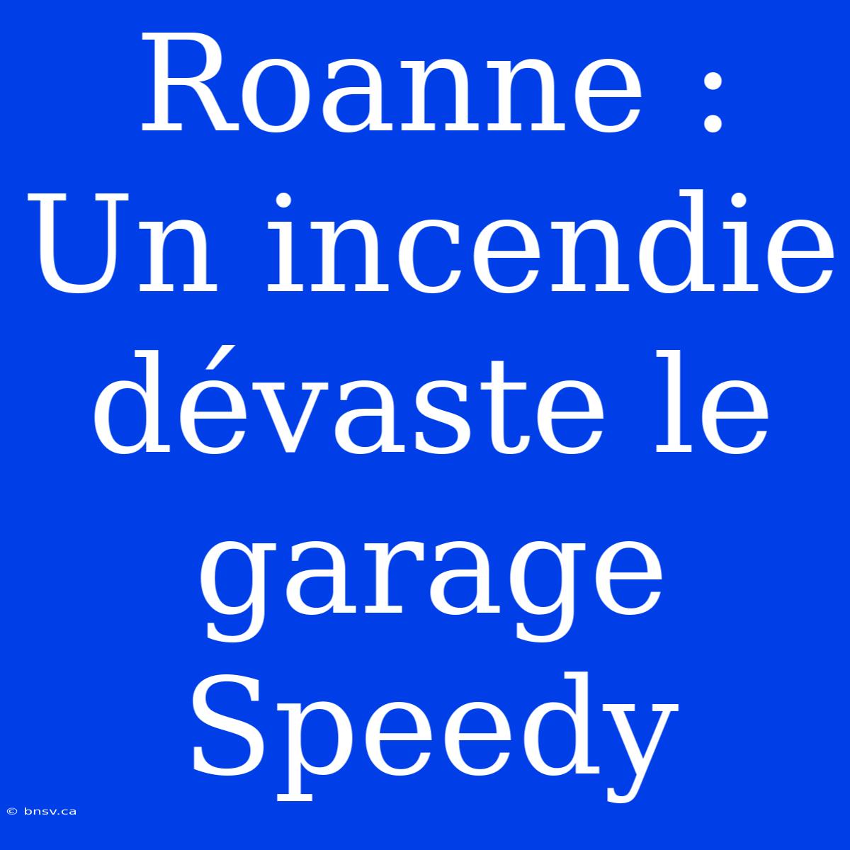 Roanne : Un Incendie Dévaste Le Garage Speedy