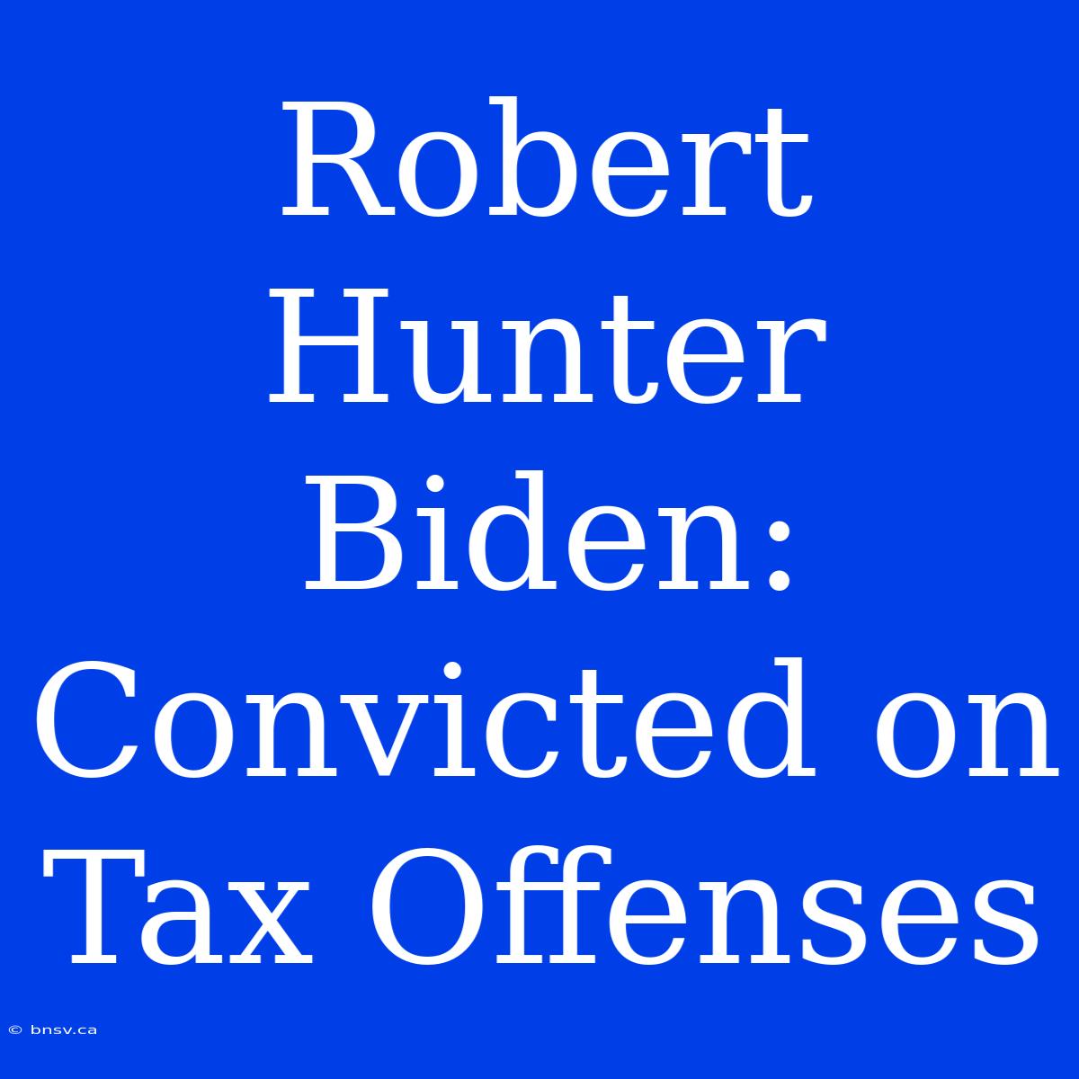 Robert Hunter Biden: Convicted On Tax Offenses