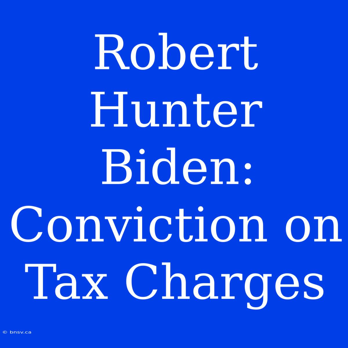 Robert Hunter Biden: Conviction On Tax Charges