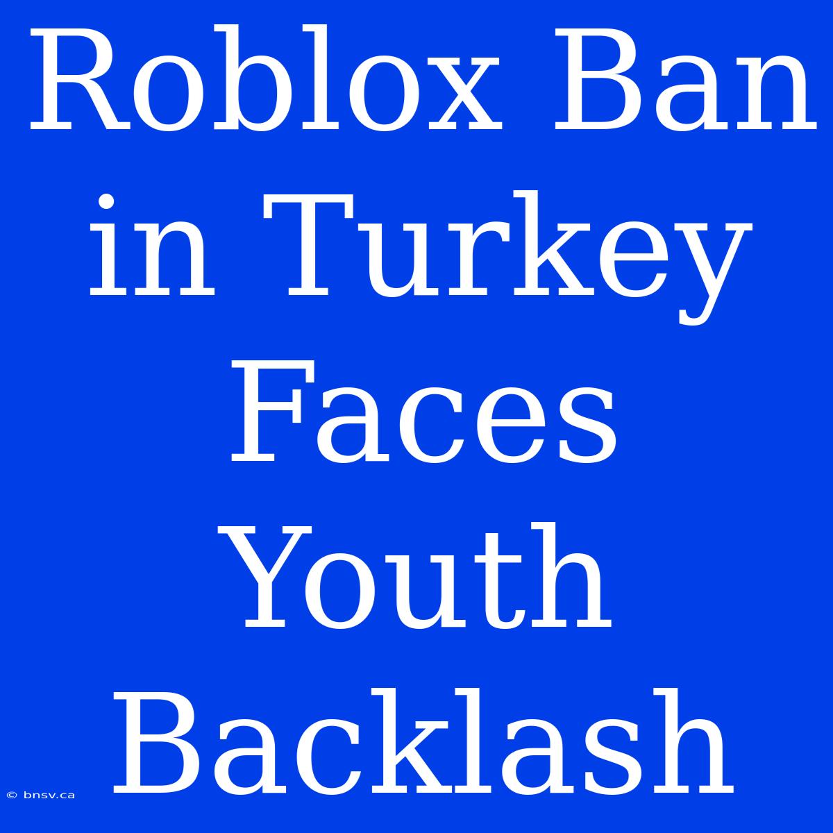 Roblox Ban In Turkey Faces Youth Backlash