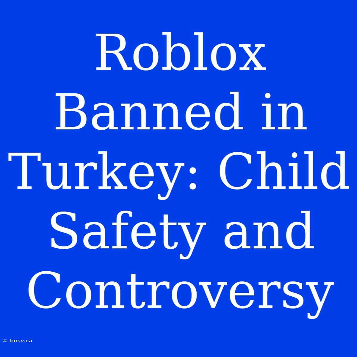 Roblox Banned In Turkey: Child Safety And Controversy