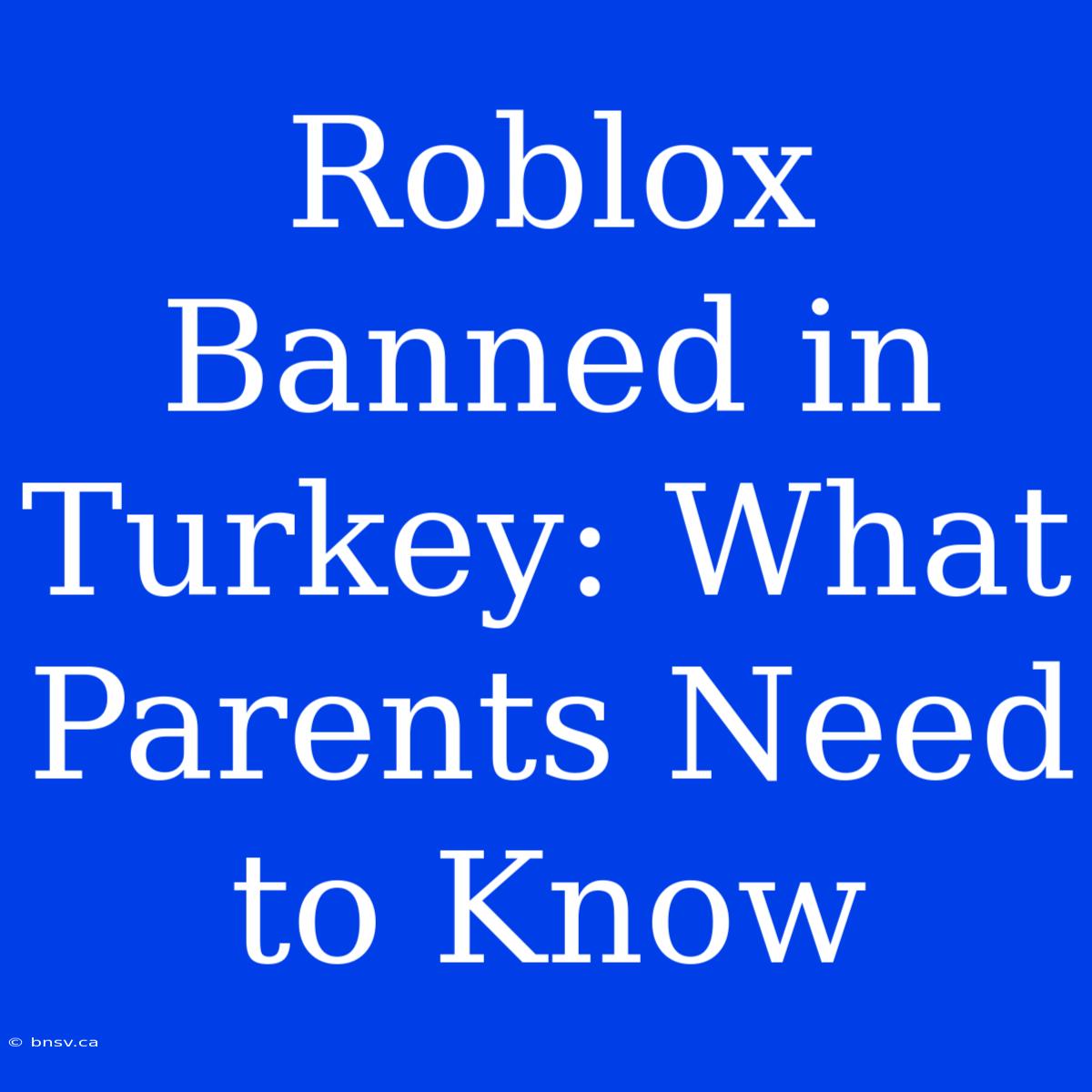 Roblox Banned In Turkey: What Parents Need To Know