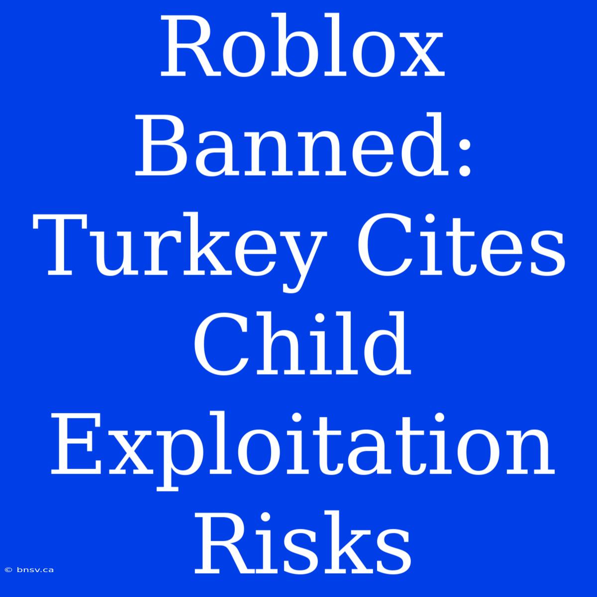 Roblox Banned: Turkey Cites Child Exploitation Risks