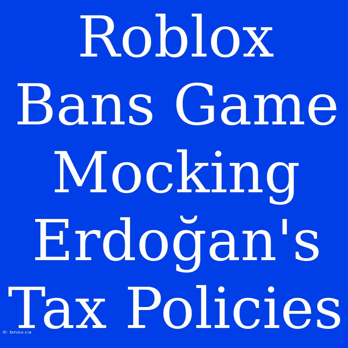 Roblox Bans Game Mocking Erdoğan's Tax Policies