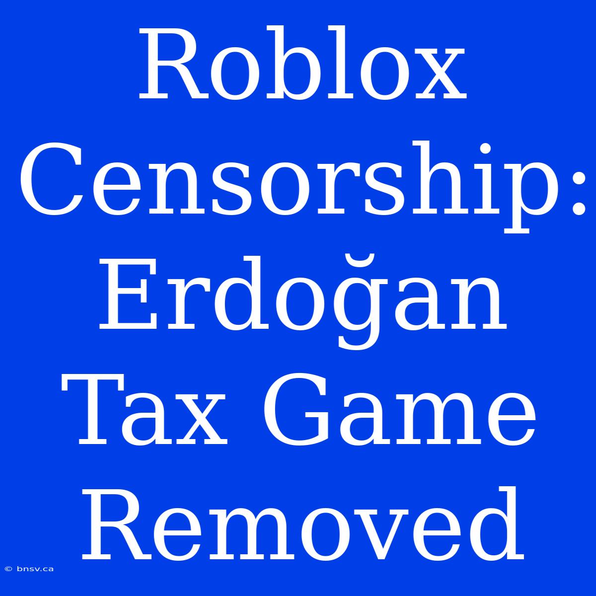 Roblox Censorship: Erdoğan Tax Game Removed