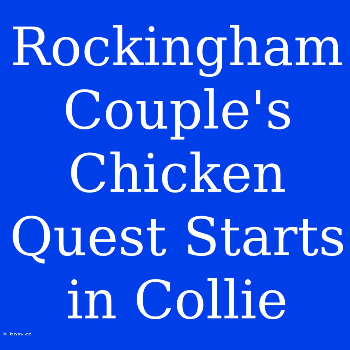 Rockingham Couple's Chicken Quest Starts In Collie