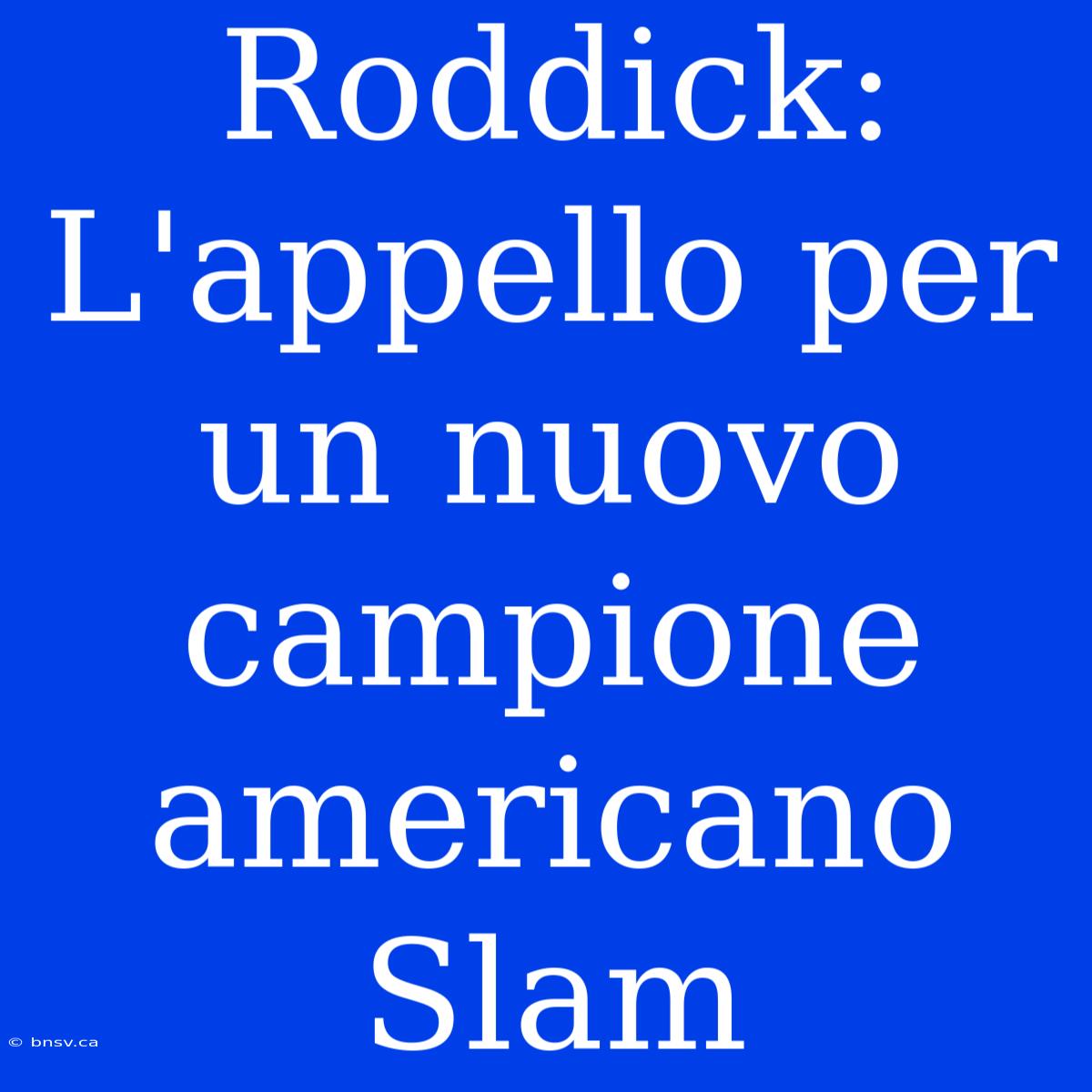 Roddick: L'appello Per Un Nuovo Campione Americano Slam