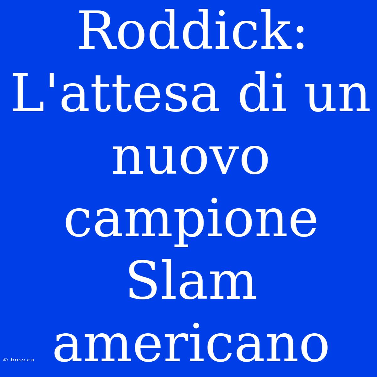 Roddick: L'attesa Di Un Nuovo Campione Slam Americano