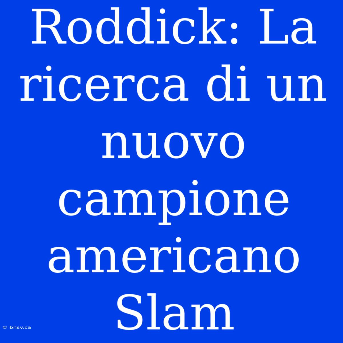 Roddick: La Ricerca Di Un Nuovo Campione Americano Slam