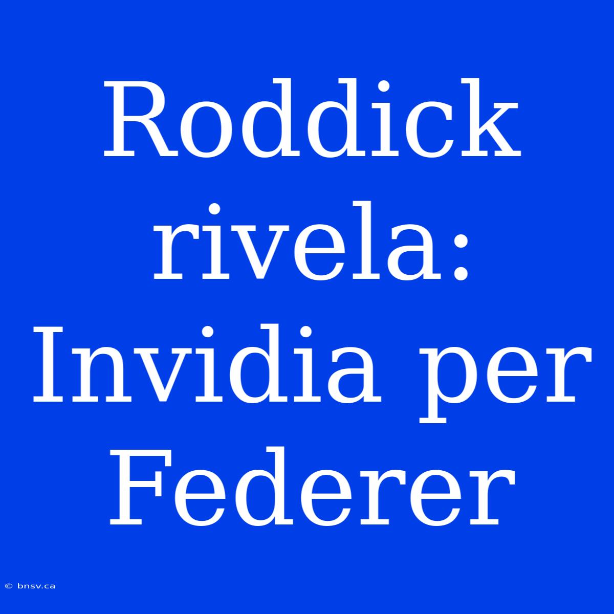 Roddick Rivela: Invidia Per Federer