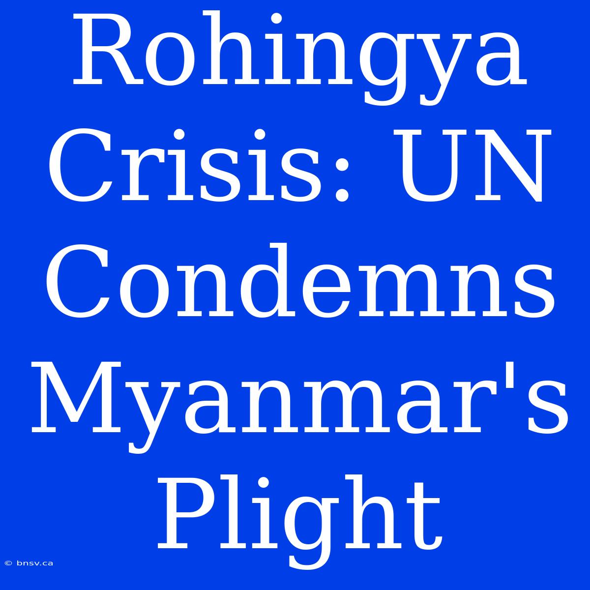 Rohingya Crisis: UN Condemns Myanmar's Plight