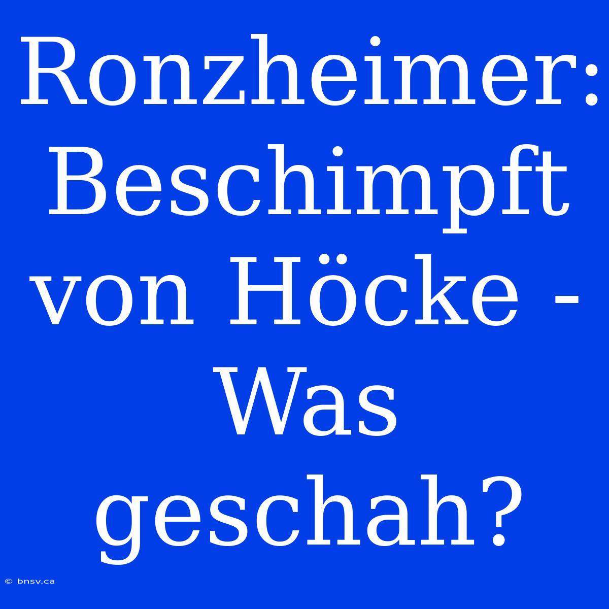 Ronzheimer: Beschimpft Von Höcke - Was Geschah?