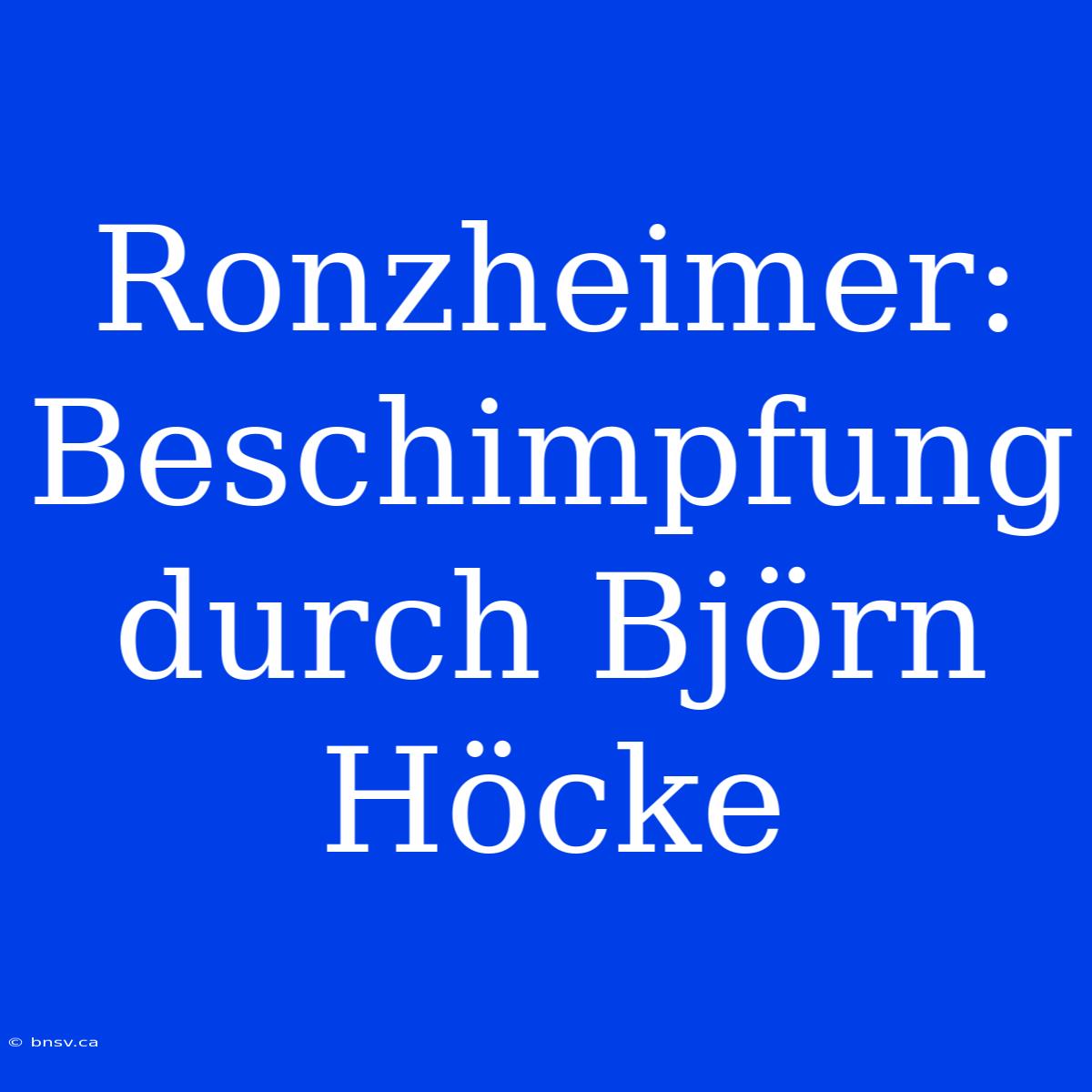 Ronzheimer: Beschimpfung Durch Björn Höcke