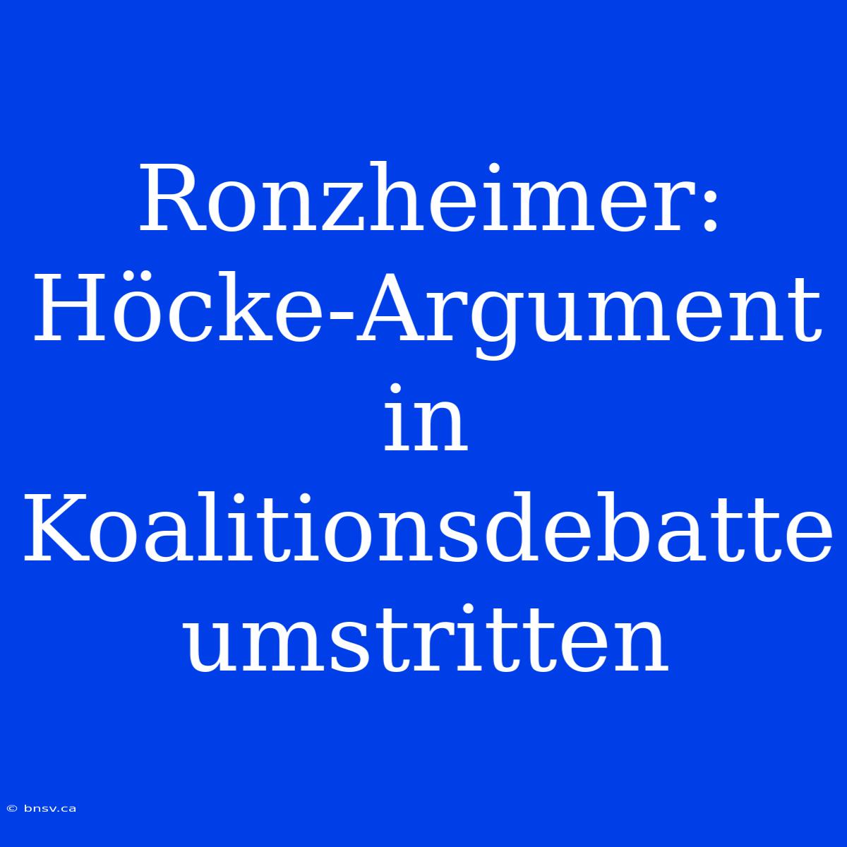 Ronzheimer: Höcke-Argument In Koalitionsdebatte Umstritten