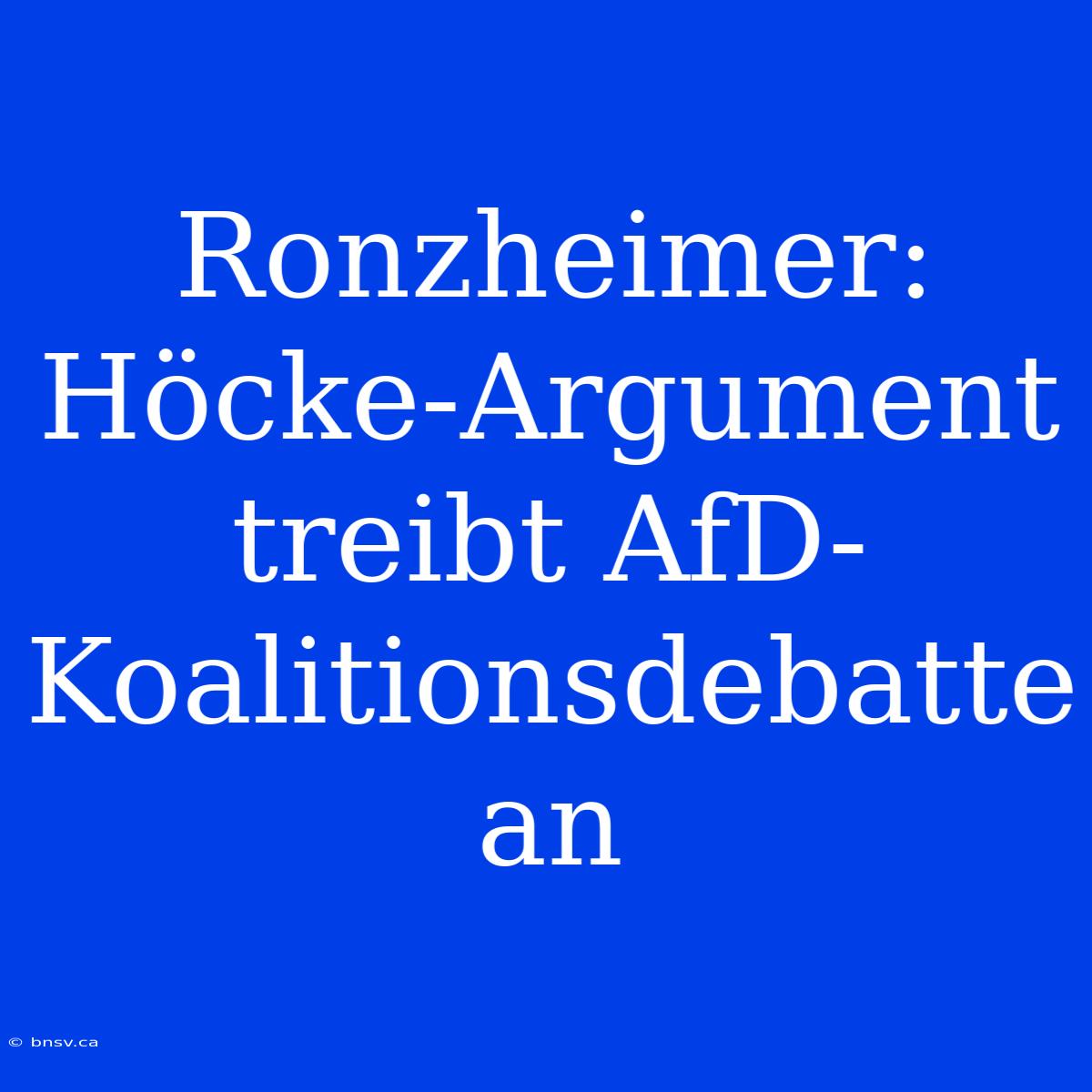 Ronzheimer: Höcke-Argument Treibt AfD-Koalitionsdebatte An