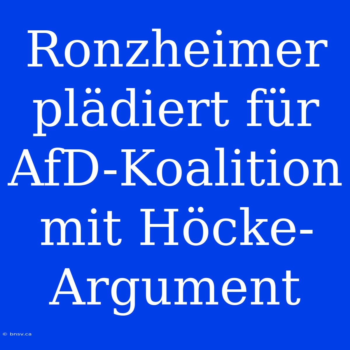 Ronzheimer Plädiert Für AfD-Koalition Mit Höcke-Argument