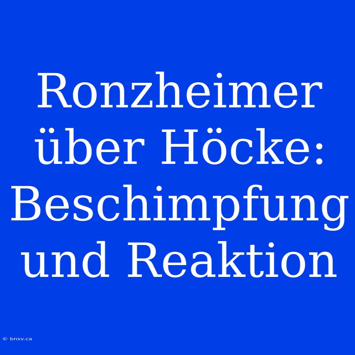 Ronzheimer Über Höcke: Beschimpfung Und Reaktion