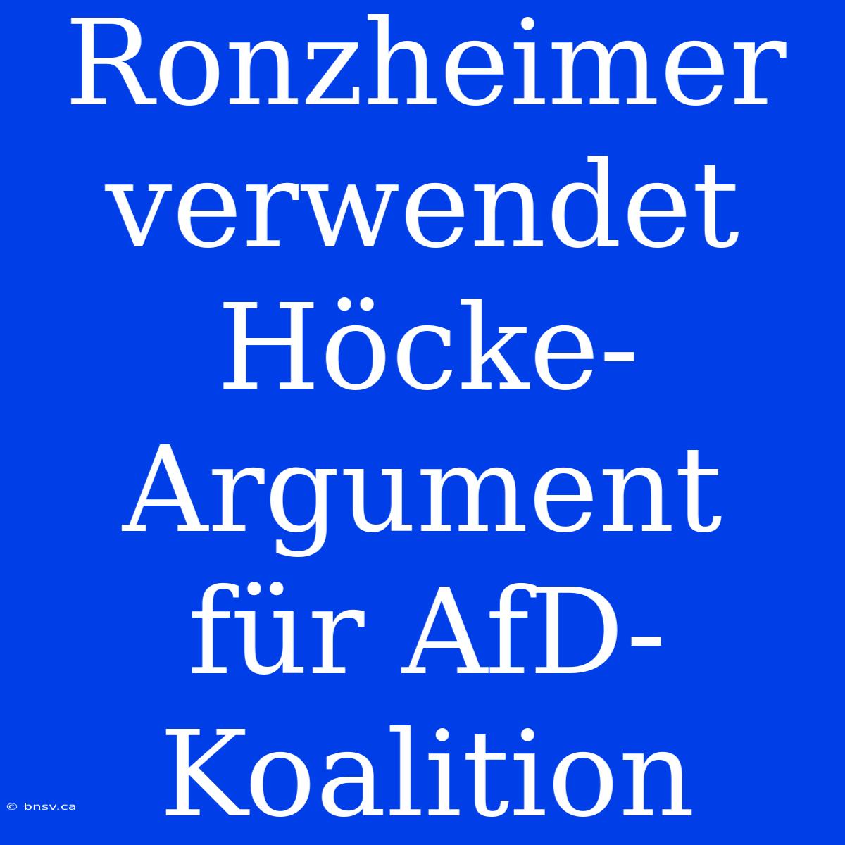 Ronzheimer Verwendet Höcke-Argument Für AfD-Koalition