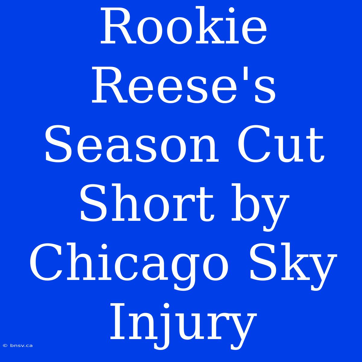 Rookie Reese's Season Cut Short By Chicago Sky Injury