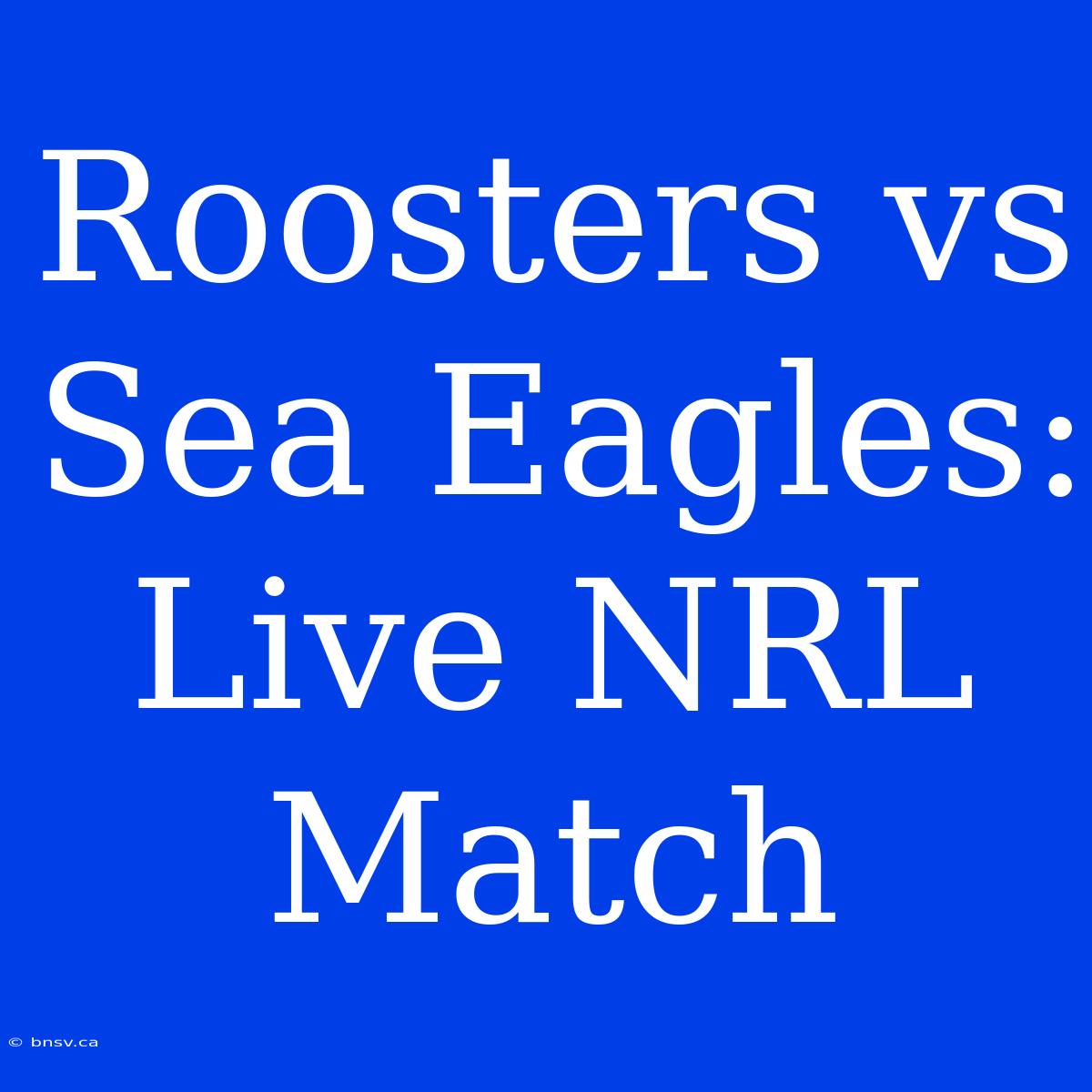 Roosters Vs Sea Eagles: Live NRL Match