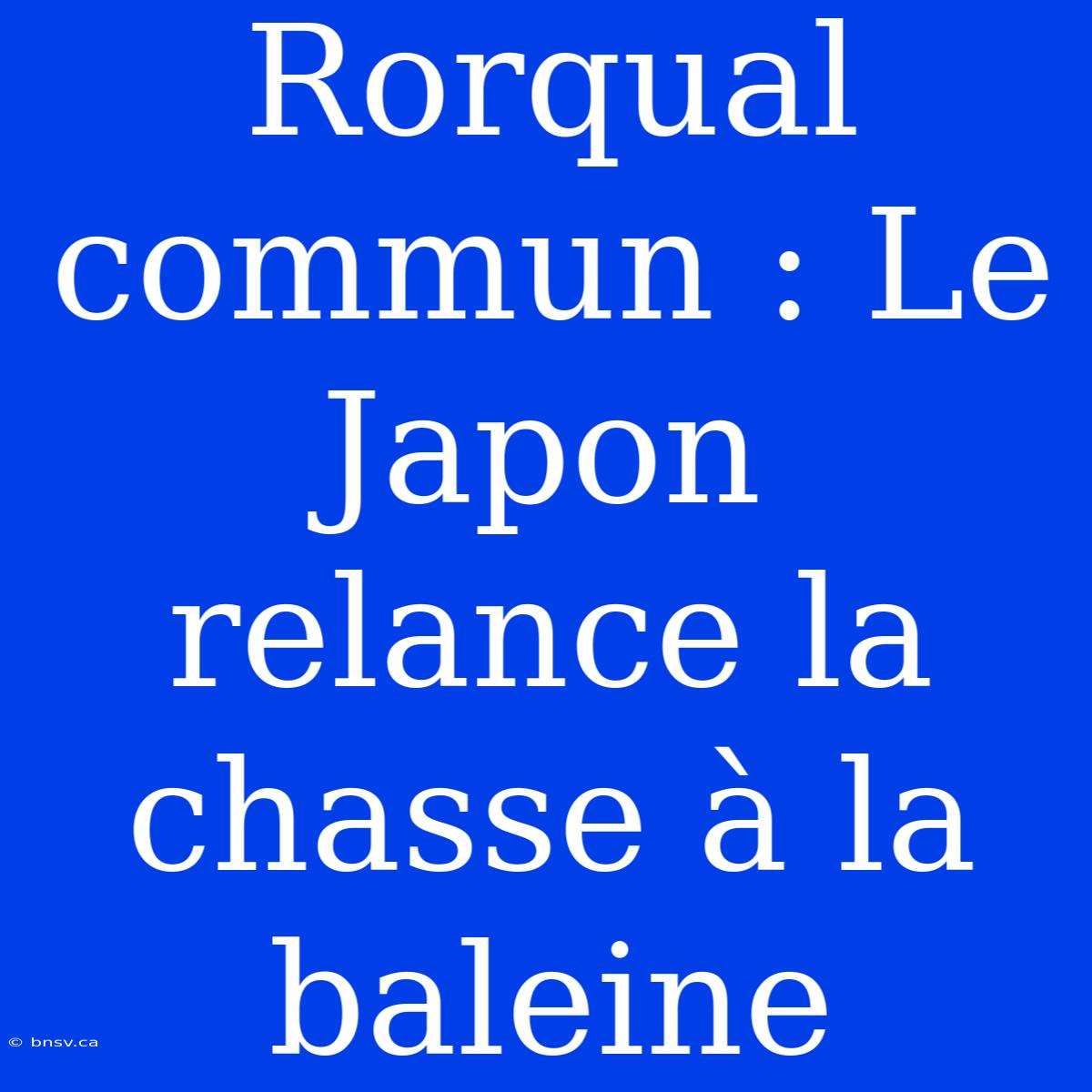 Rorqual Commun : Le Japon Relance La Chasse À La Baleine