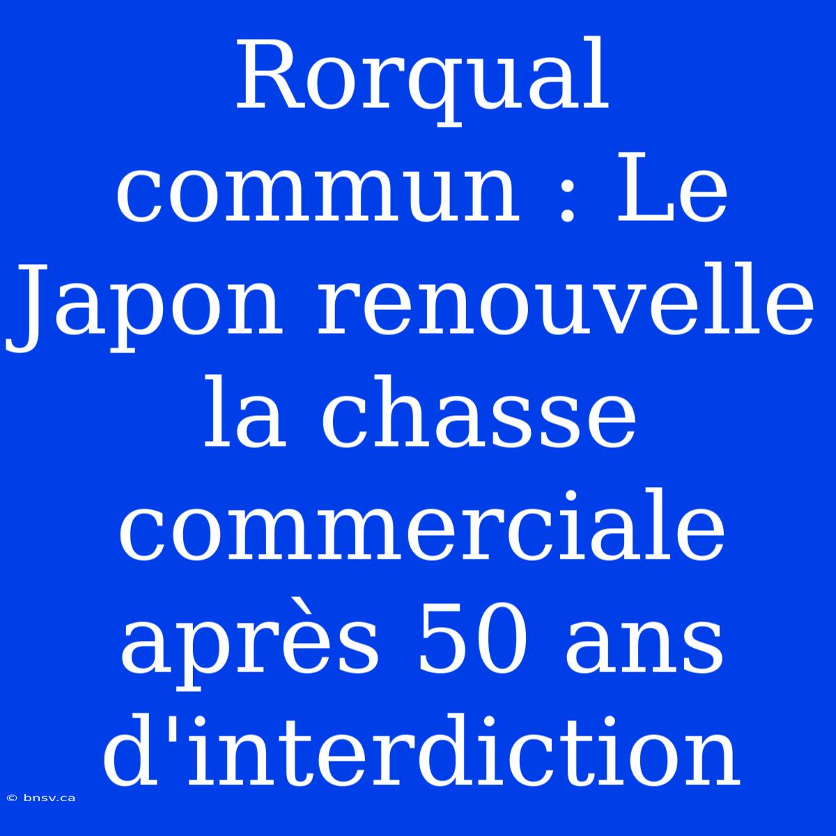 Rorqual Commun : Le Japon Renouvelle La Chasse Commerciale Après 50 Ans D'interdiction