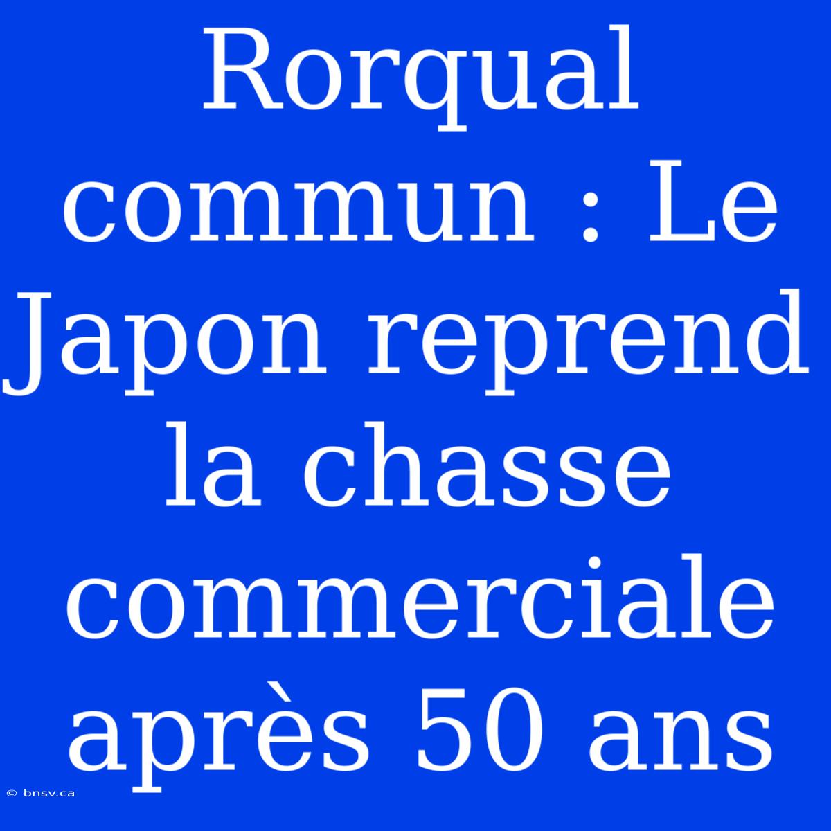 Rorqual Commun : Le Japon Reprend La Chasse Commerciale Après 50 Ans