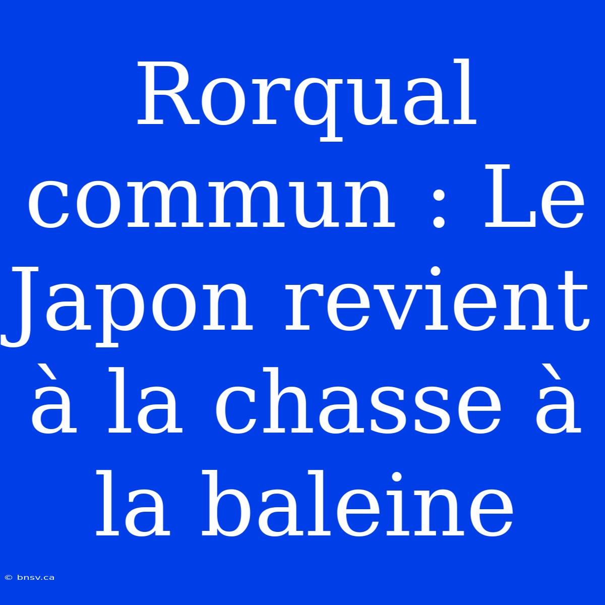 Rorqual Commun : Le Japon Revient À La Chasse À La Baleine