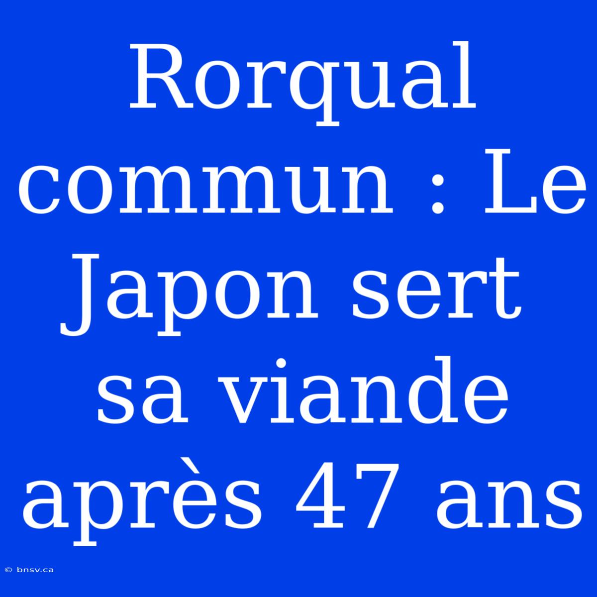 Rorqual Commun : Le Japon Sert Sa Viande Après 47 Ans