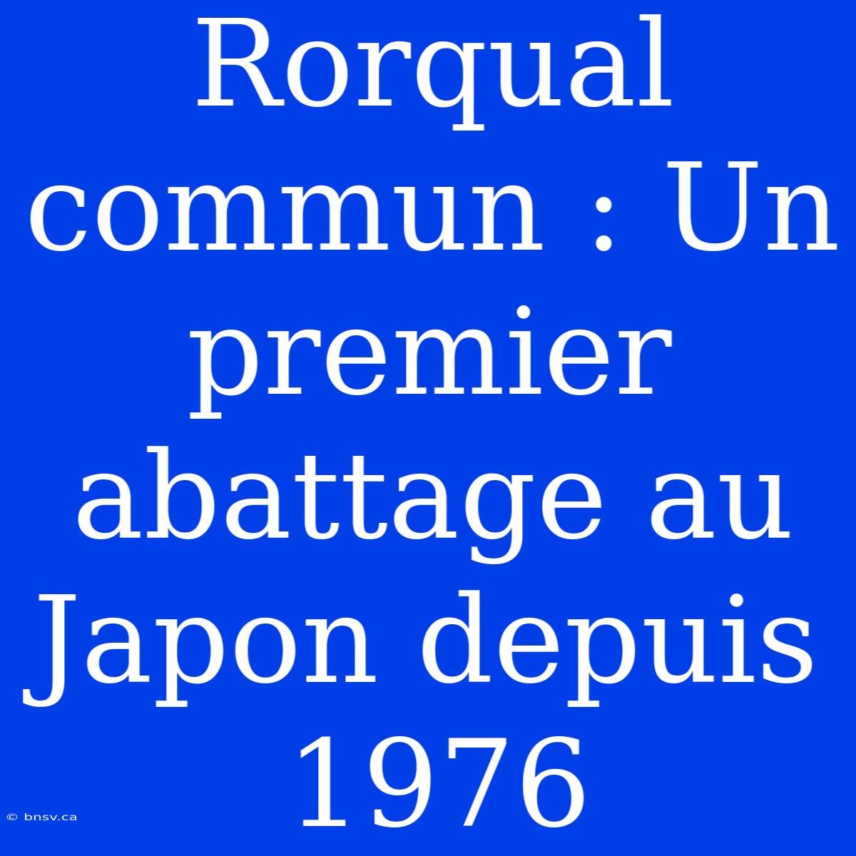 Rorqual Commun : Un Premier Abattage Au Japon Depuis 1976