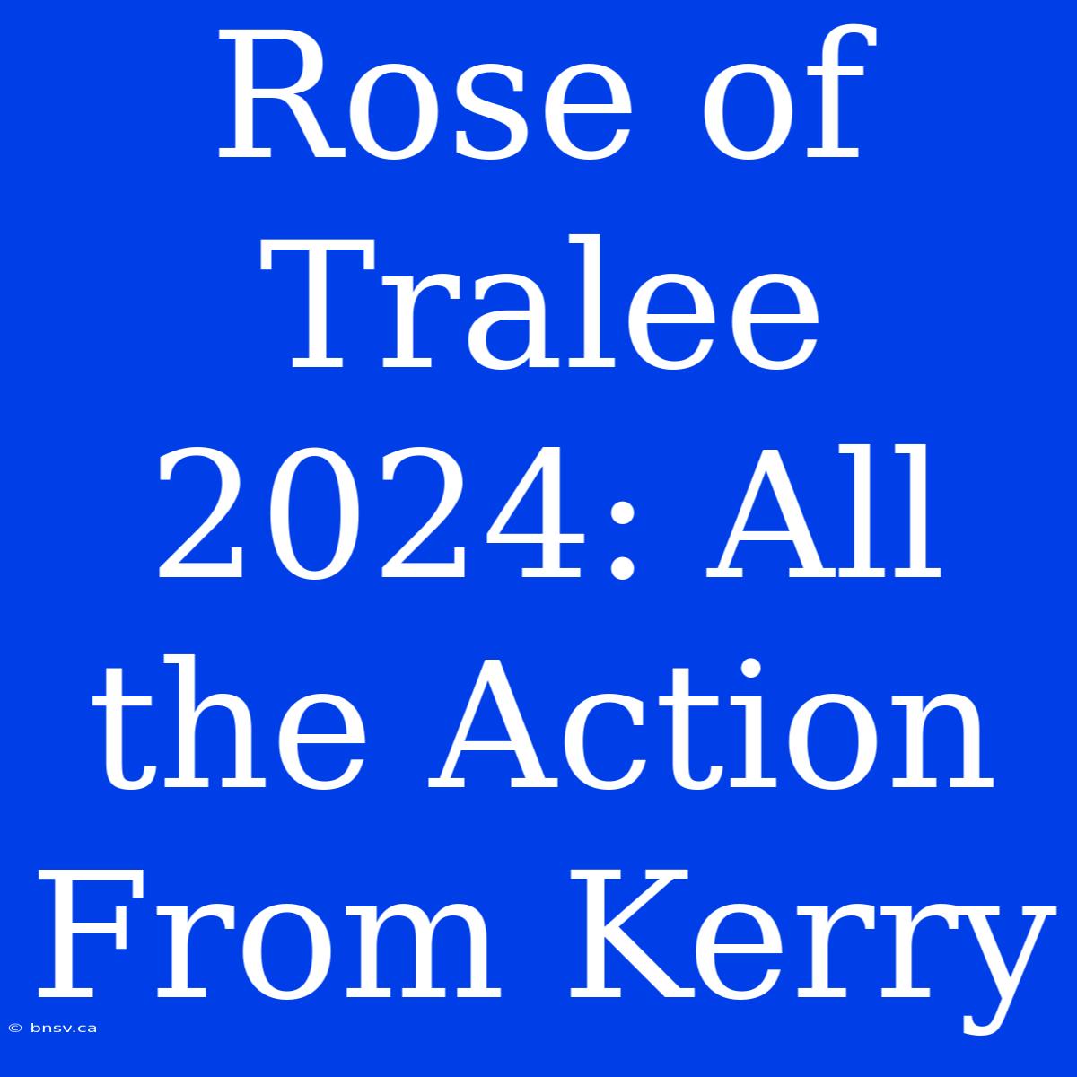 Rose Of Tralee 2024: All The Action From Kerry