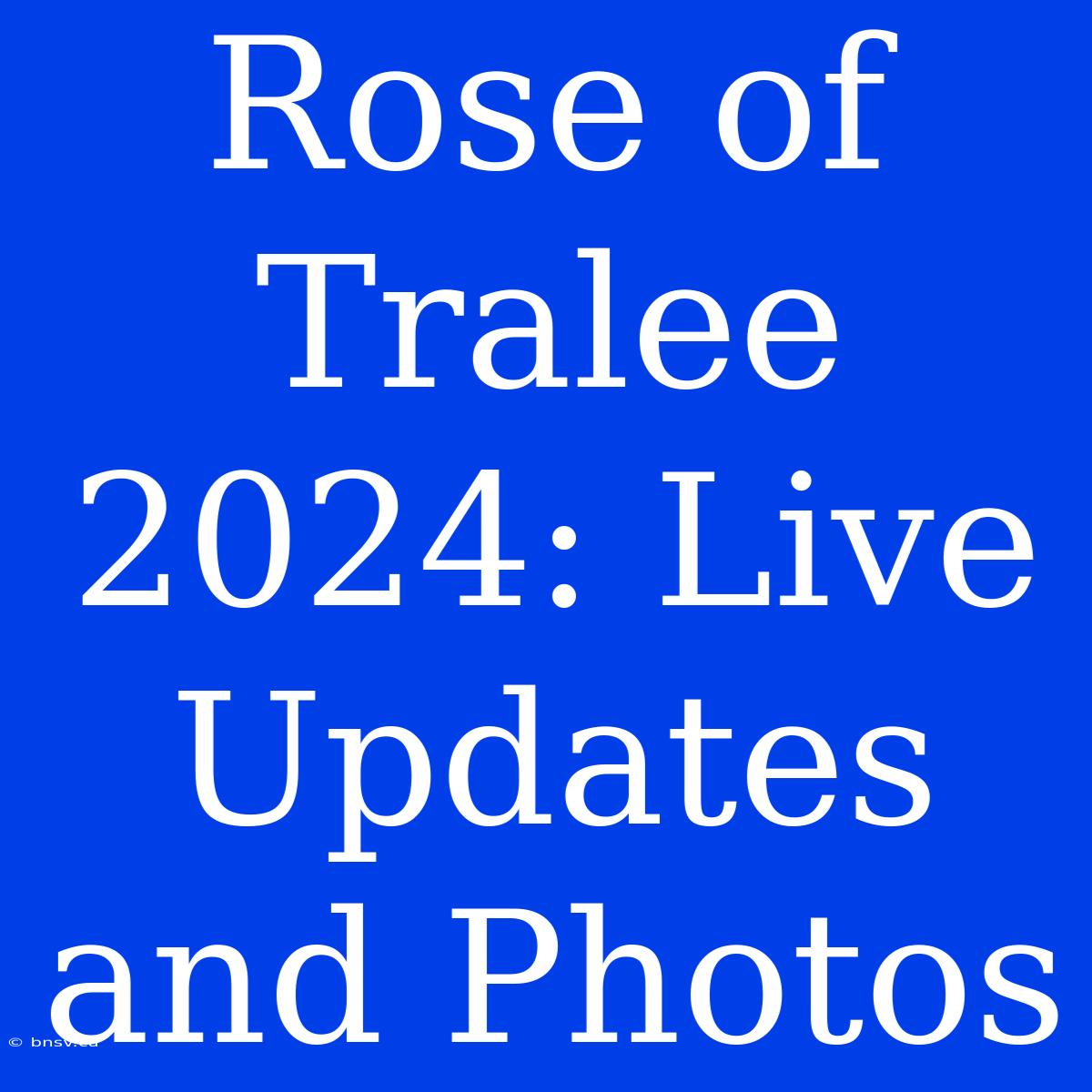 Rose Of Tralee 2024: Live Updates And Photos