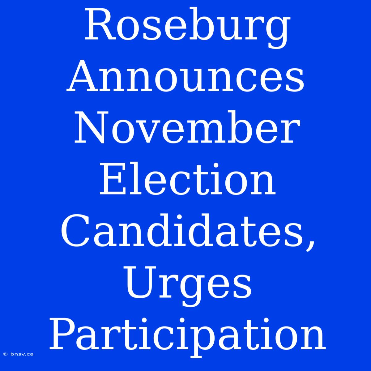 Roseburg Announces November Election Candidates, Urges Participation