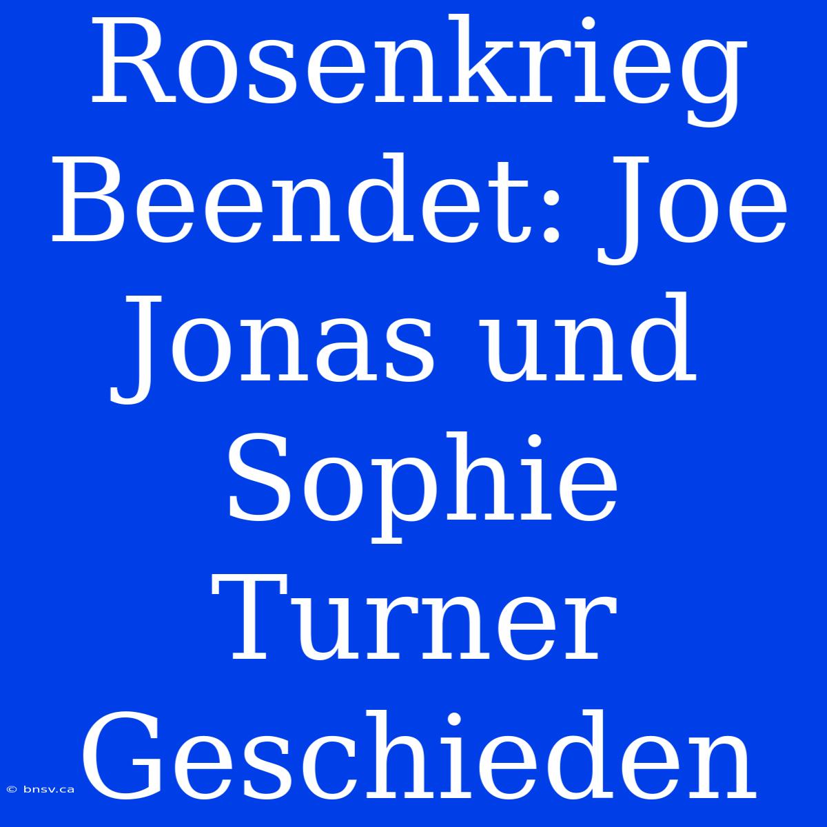 Rosenkrieg Beendet: Joe Jonas Und Sophie Turner Geschieden