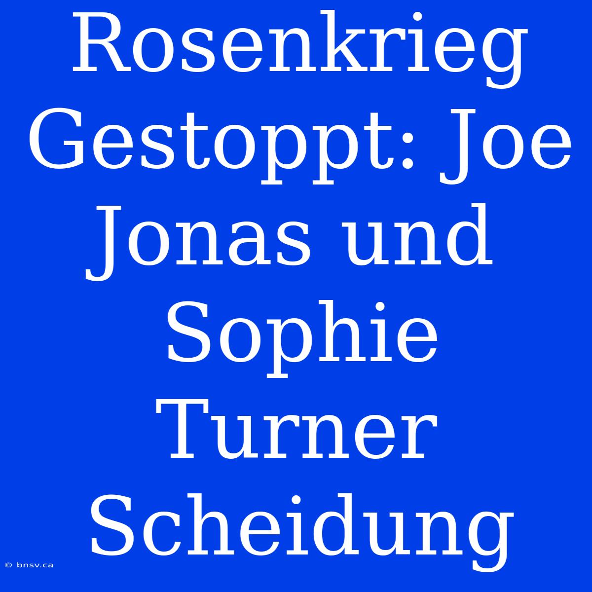 Rosenkrieg Gestoppt: Joe Jonas Und Sophie Turner Scheidung