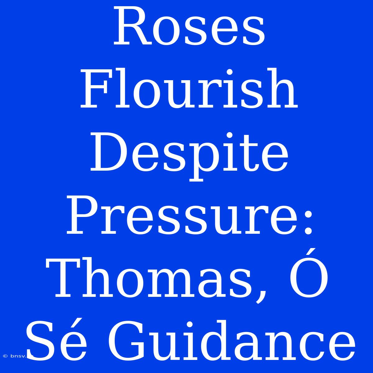 Roses Flourish Despite Pressure: Thomas, Ó Sé Guidance