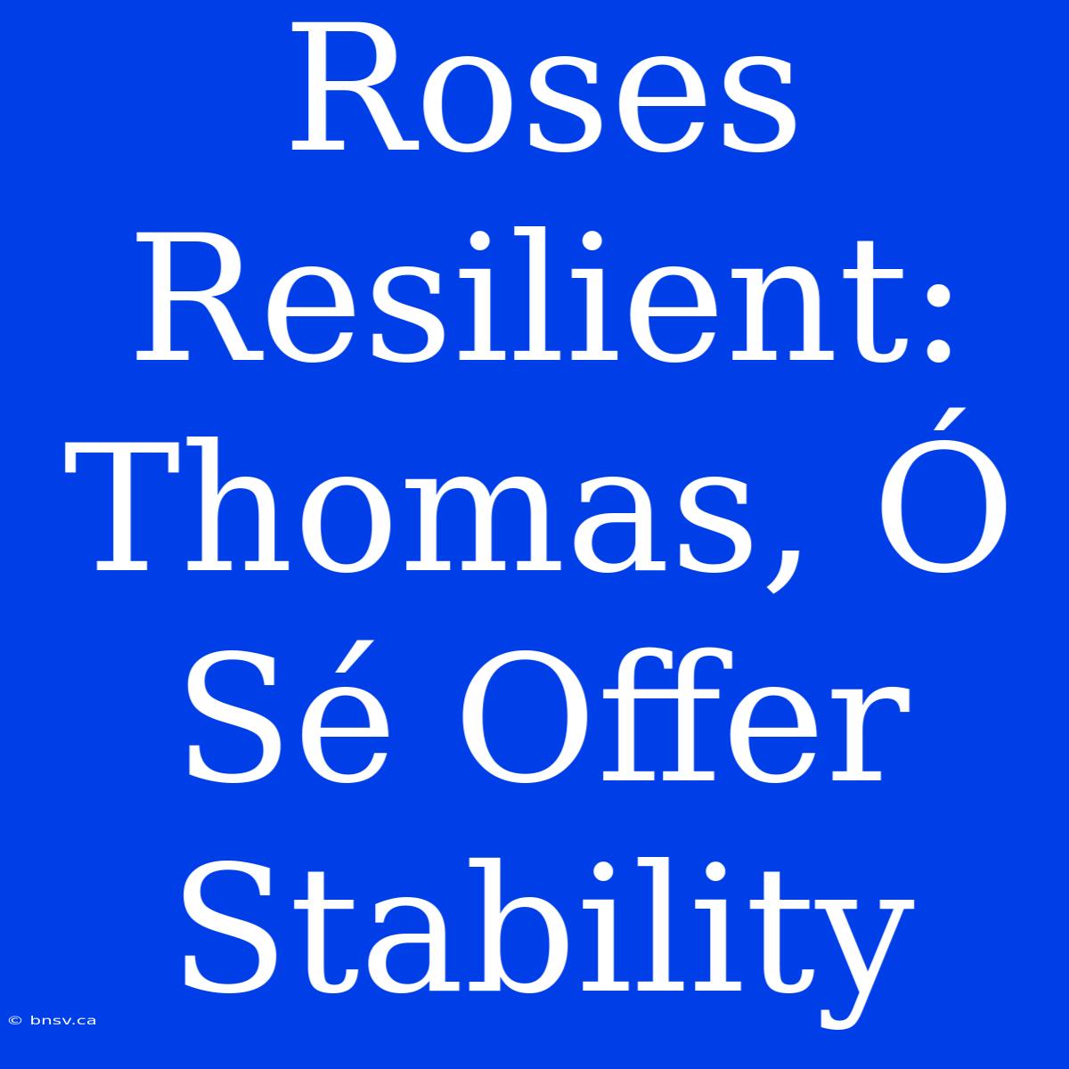 Roses Resilient:  Thomas, Ó Sé Offer Stability