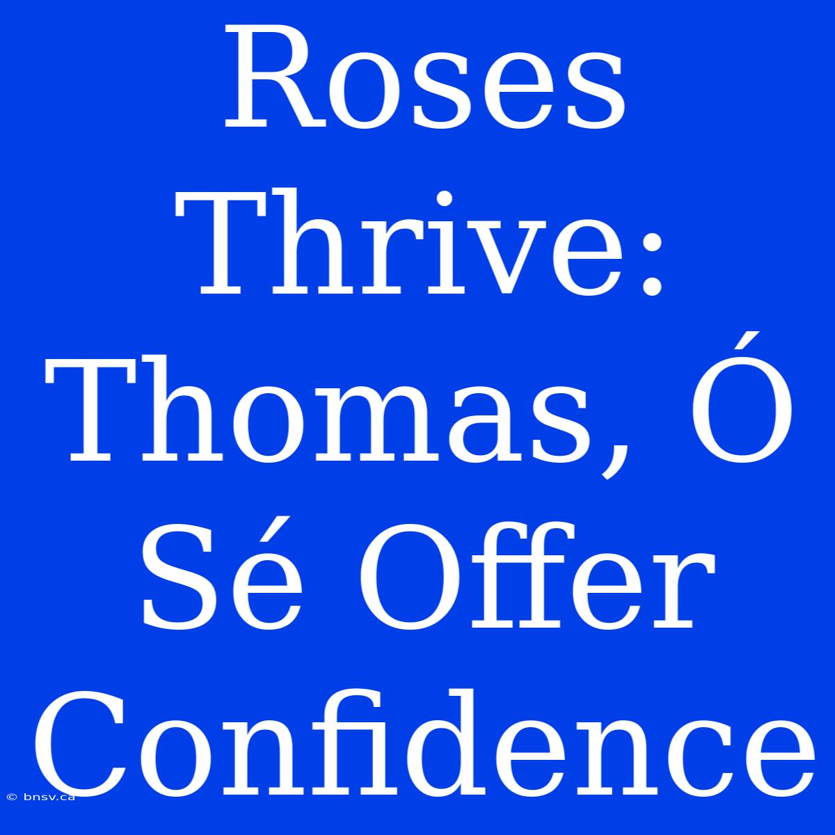 Roses Thrive: Thomas, Ó Sé Offer Confidence