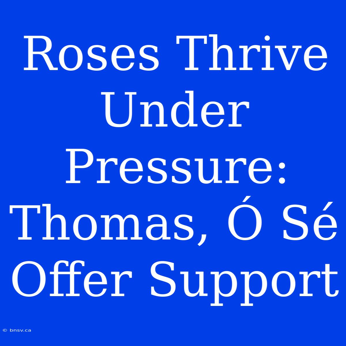 Roses Thrive Under Pressure: Thomas, Ó Sé Offer Support