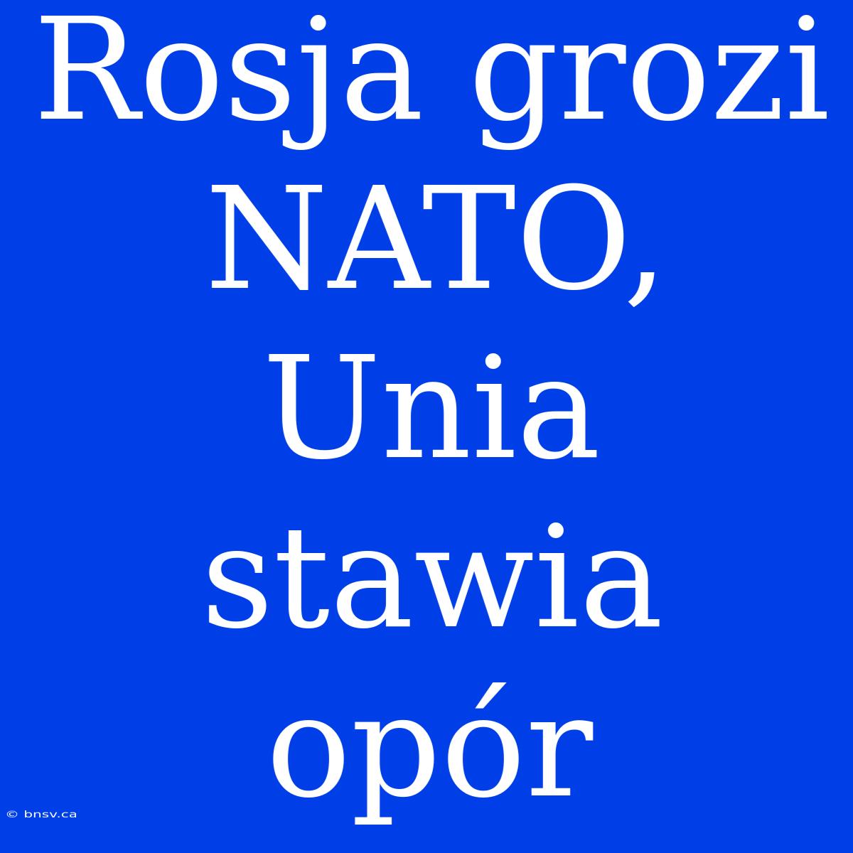 Rosja Grozi NATO, Unia Stawia Opór