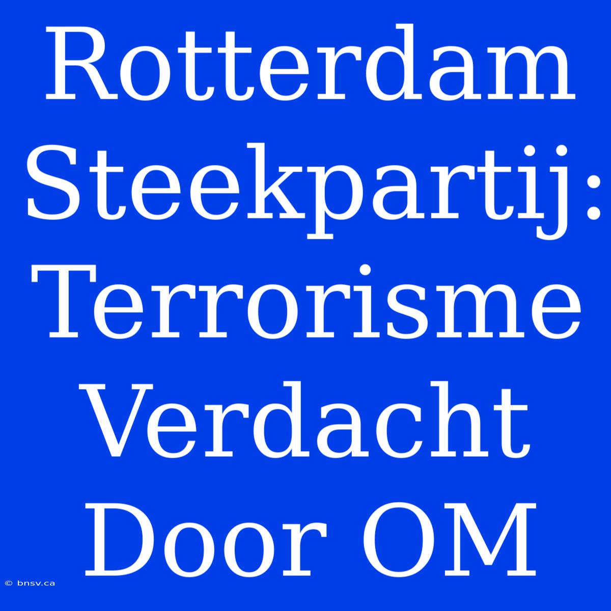 Rotterdam Steekpartij: Terrorisme Verdacht Door OM